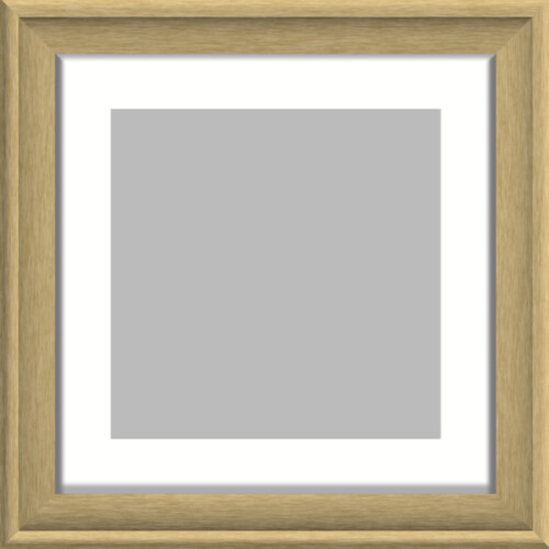 Framed Print 300x300