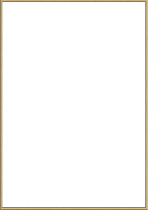 Framed canvas 841x1189