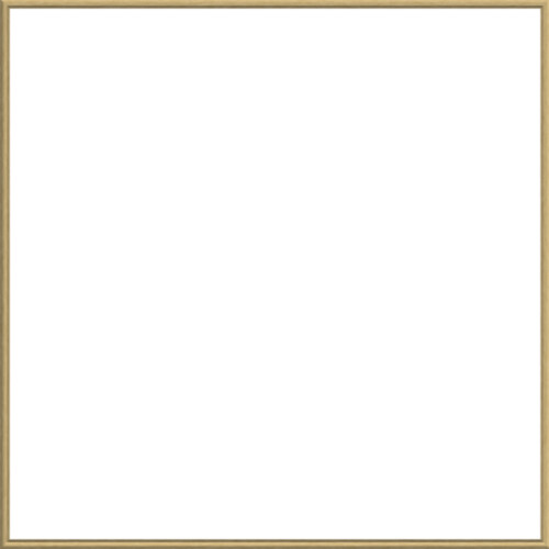 Framed Canvas 800x800