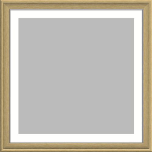 Framed Print 500x500