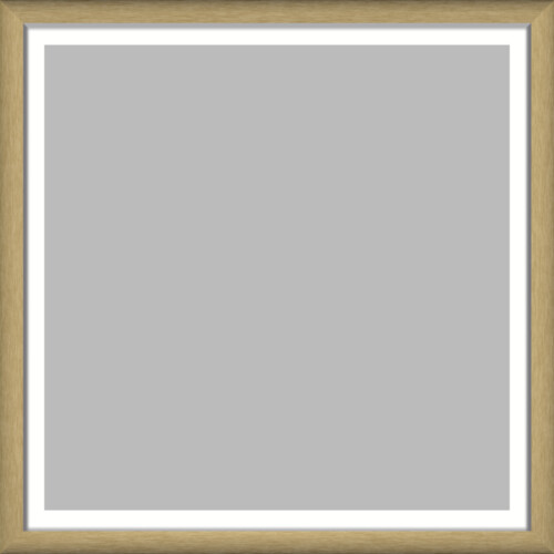 Framed Print 750x750